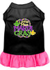 Pet Dress Little Miss Mardi Gras
