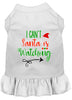 Christmas Pet Dress Screen Printed, I Can't, Santa Is Watching