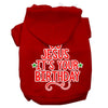 Christmas Pet Hoodie Go Jesus, It's Your Birthday