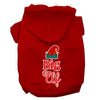 Christmas Pet Hoodie Screen Printed, Big Elf