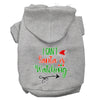 Christmas Pet Hoodie I Can't, Santa Is Watching