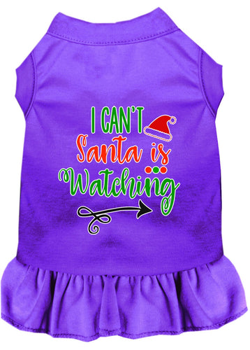 Christmas Pet Dress Screen Printed, I Can't, Santa Is Watching