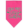 Pet and Dog Bandana Screen Printed, Little Miss Lucky Charm