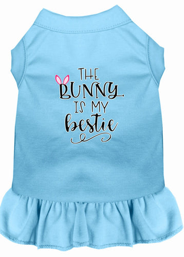 Pet Dress The Bunny Is My Bestie