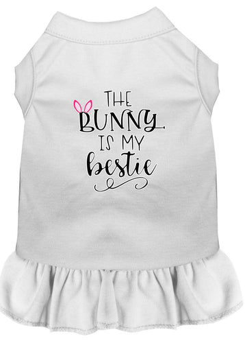 Pet Dress The Bunny Is My Bestie