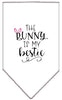 Pet and Dog Bandana Screen Printed, The Bunny Is My Bestie