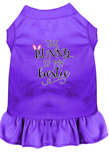 Pet Dress The Bunny Is My Bestie