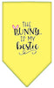 Pet and Dog Bandana Screen Printed, The Bunny Is My Bestie