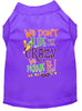 Mardi Gras Pet Dog & Cat Shirt Screen Printed, We Don't Hide the Crazy, We Parade It