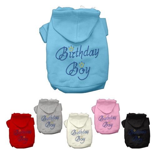 Birthday Pet Dog & Cat Hoodie Rhinestone, Birthday Boy