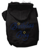 Birthday Pet Dog & Cat Hoodie Rhinestone, Birthday Boy