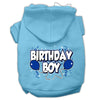 Pet, Dog & Cat Hoodie Screen Printed, Birthday Boy