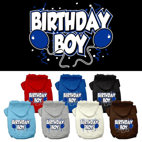 Pet, Dog & Cat Hoodie Screen Printed, Birthday Boy