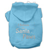 Christmas Pet Hoodie Screen Printed, I Believe In Santa Paws