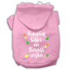 Pet, Dog and Cat Hoodie Screen Printed, Pumpkin Kisses & Harvest Wishes