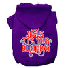 Christmas Pet Hoodie Go Jesus, It's Your Birthday