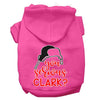 Christmas Pet Hoodie Screen Printed, You Serious Clark?