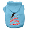 Christmas Pet Hoodie Screen Printed, You Serious Clark?