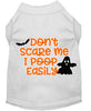 Halloween Pet Dog & Cat Shirt Screen Printed, Don't Scare Me, I Poop Easily