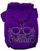 Pet Hoodie Little Wizard
