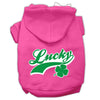 Pet Hoodie Lucky Swoosh