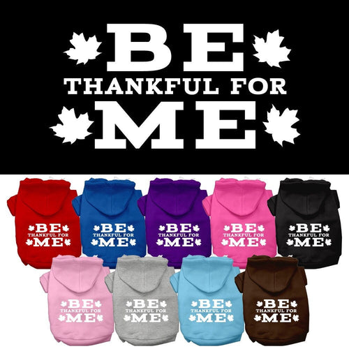Thanksgiving Pet Dog & Cat Hoodie Screen Printed, Be Thankful for Me