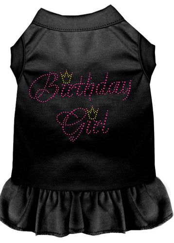Pet Dress Rhinestone, Birthday Girl