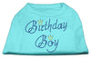 Pet Dog & Cat Shirt Rhinestone, Birthday Boy