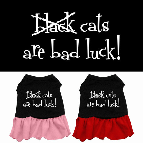 Halloween Pet Dress Black Cats Are Bad Luck