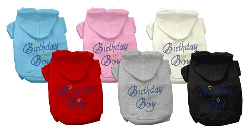 Birthday Pet Dog & Cat Hoodie Rhinestone, Birthday Boy
