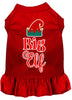 Christmas Pet Dress Big Elf