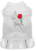 Pet Dress Screen Printed, Timeless Tale