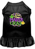 Pet Dress Little Miss Mardi Gras