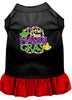 Pet Dress Little Miss Mardi Gras