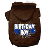 Pet, Dog & Cat Hoodie Screen Printed, Birthday Boy