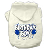 Pet, Dog & Cat Hoodie Screen Printed, Birthday Boy