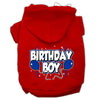 Pet, Dog & Cat Hoodie Screen Printed, Birthday Boy