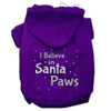 Christmas Pet Hoodie Screen Printed, I Believe In Santa Paws