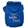 Christmas Pet Hoodie Screen Printed, I Believe In Santa Paws