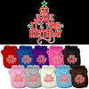 Christmas Pet Hoodie Go Jesus, It's Your Birthday