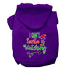 Christmas Pet Hoodie I Can't, Santa Is Watching