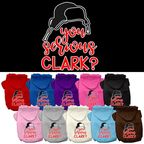 Christmas Pet Hoodie Screen Printed, You Serious Clark?