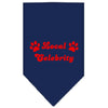 Pet and Dog Bandana Screen Printed, Local Celebrity