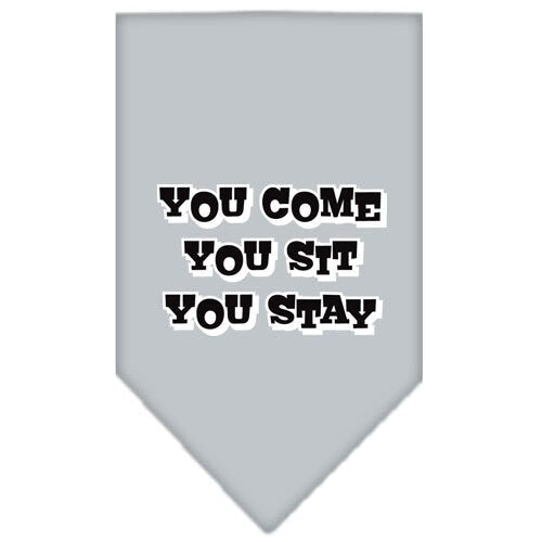 Pet and Dog Bandana Screen Printed, You Come, You Sit, You Stay