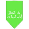 Halloween Pet and Dog Bandana Screen Printed, Black Cats are Bad Luck
