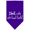 Halloween Pet and Dog Bandana Screen Printed, Black Cats are Bad Luck