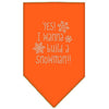 Christmas Pet and Dog Bandana Rhinestone, Yes! I Want To Build A Snowman