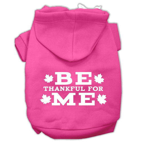 Thanksgiving Pet Dog & Cat Hoodie Screen Printed, Be Thankful for Me