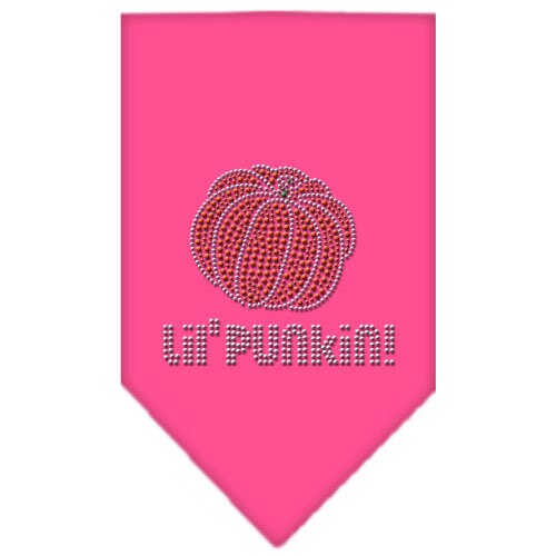 Halloween Pet and Dog Bandana Rhinestone, Lil Punkin