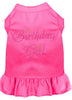 Pet Dress Rhinestone, Birthday Girl